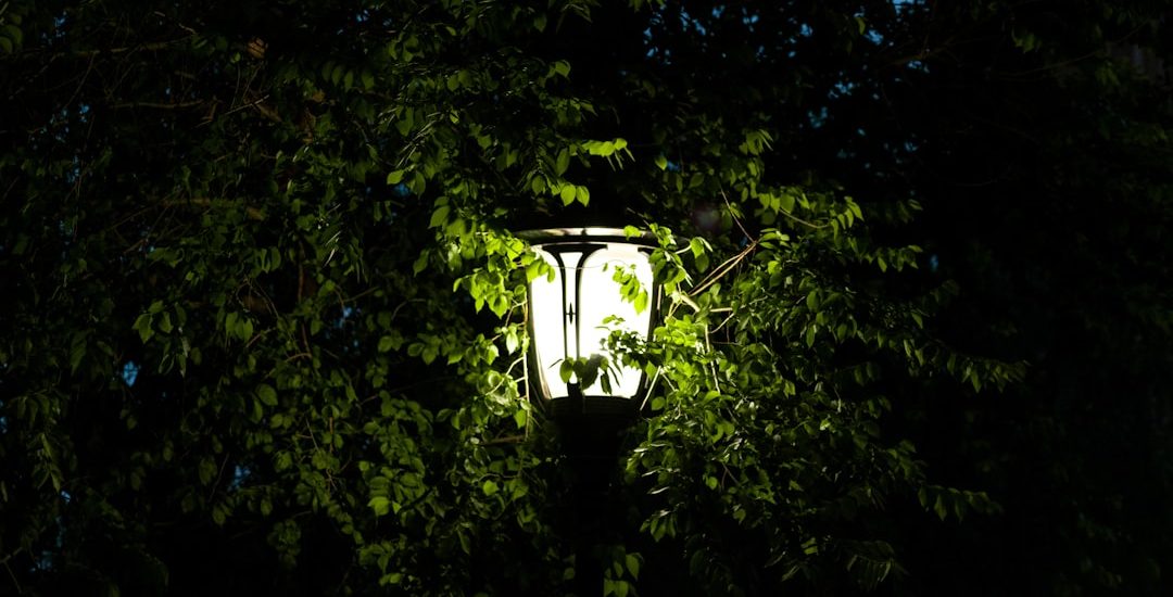 Photo Outdoor Potted Garden Light